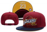 NBA Cleveland Cavaliers[Ref. 01]