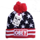 Gorro OBEY USA Flag