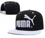 Puma [Ref. 01]