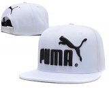 Puma [Ref. 02]