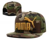 Puma [Ref. 07]