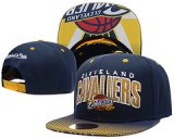 NBA Cleveland Cavaliers[Ref. 34]