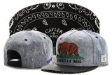 Gorra Cayler & Sons [Ref. 22]