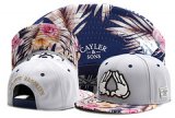 Gorra Cayler & Sons [Ref. 23]