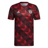 Camiseta Bayern Munich Pre-Partido 2022/23