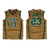 LeBron James, St. Vincent St. Mary Irish [Brown]