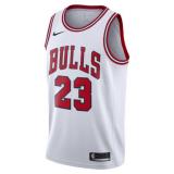 Michael Jordan, Chicago Bulls - Association