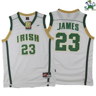 LeBron James, St. Vincent St. Mary Irish [White]