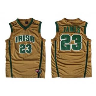 LeBron James, St. Vincent St. Mary Irish [Brown]