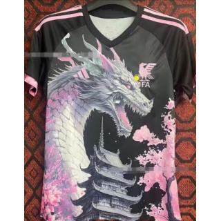 Japón 2024 ft. Special Dragon