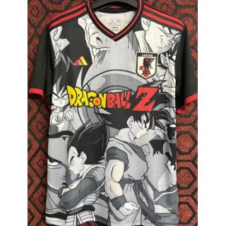 Japón 2024 ft. Dragon Ball Z
