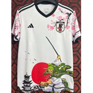 Japón 2024 ft. One Piece (Zoro Samurai)
